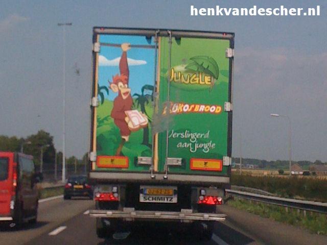 Jungle Kokosbrood :: Verslingerd aan jungle
