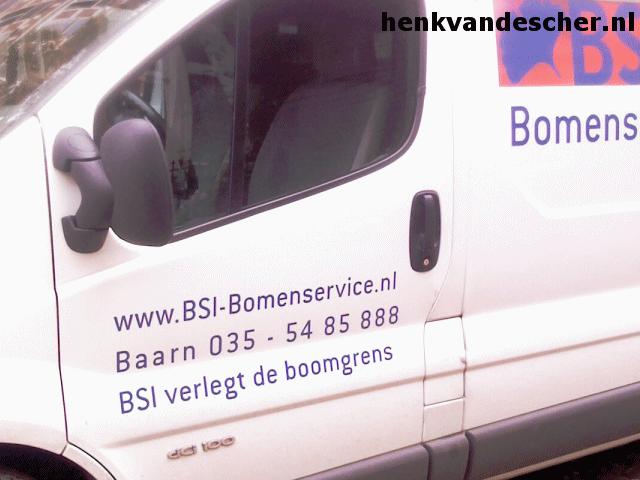 BSI :: Verlegt de boomgrens