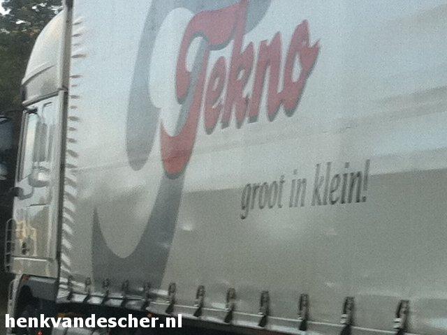 Tekno :: Groot in klein
