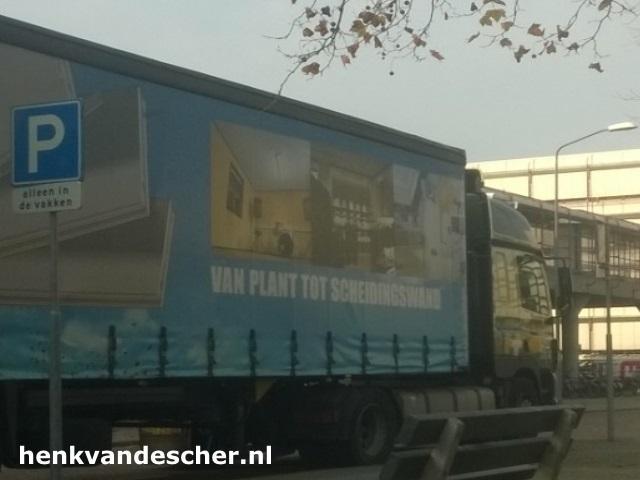 Faay :: Van Plant Tot Scheidingswand