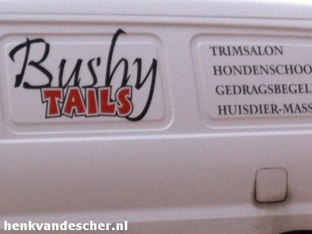 Bushy Tails :: Bushy Tails