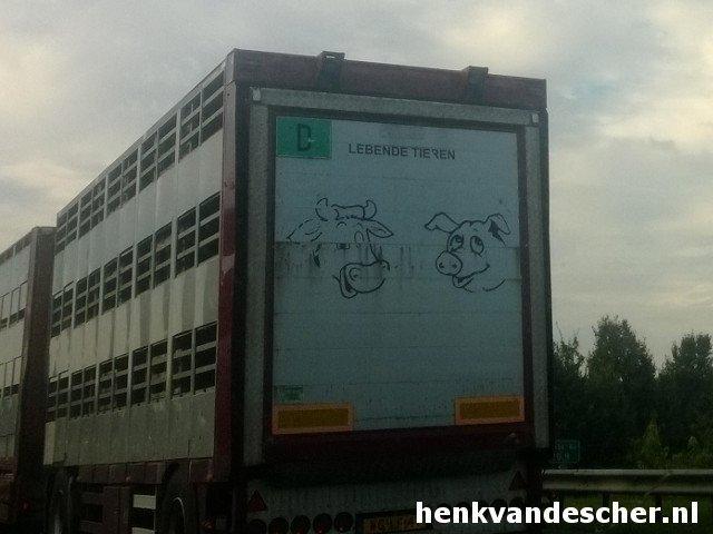 Lebende Tieren (Onbekend) :: Blije varkens