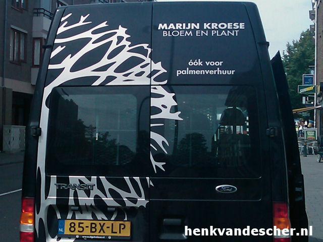 Marijn Kroese :: óók voor palmenverhuur