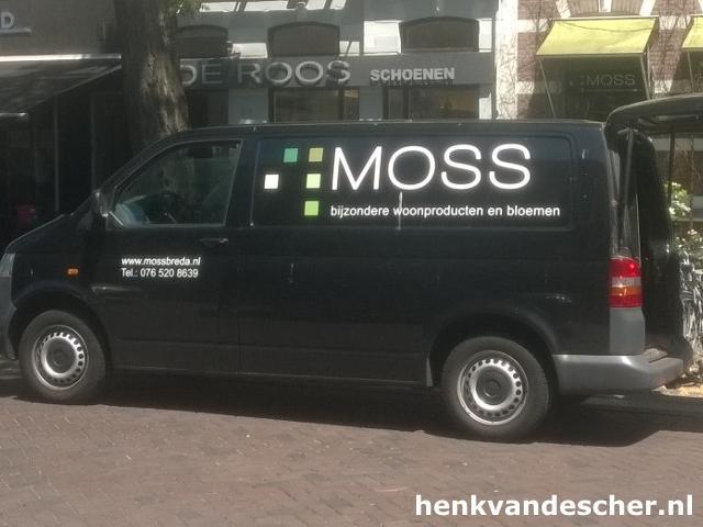 MOSS :: MOSS