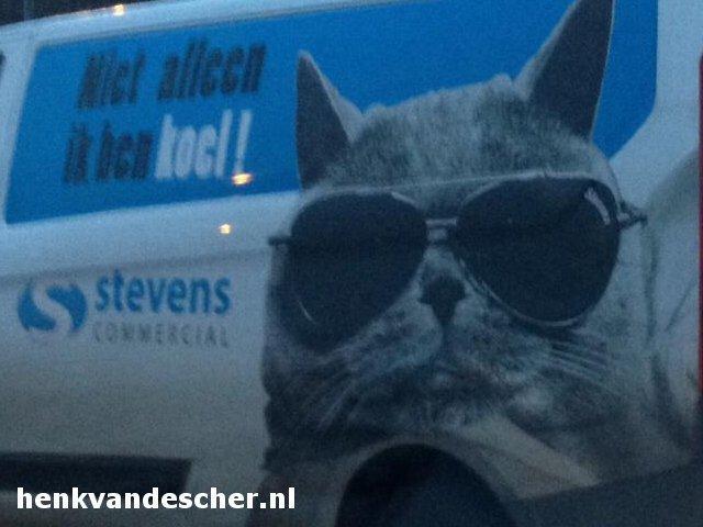 Stevens :: Niet alleen ik ben koel