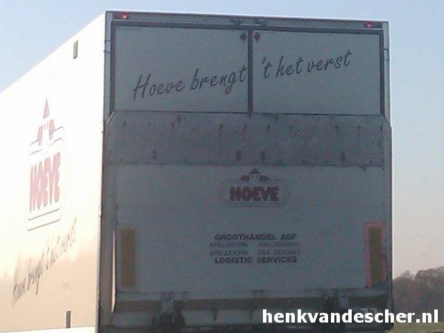 Hoeve :: Hoeve brengt het verst