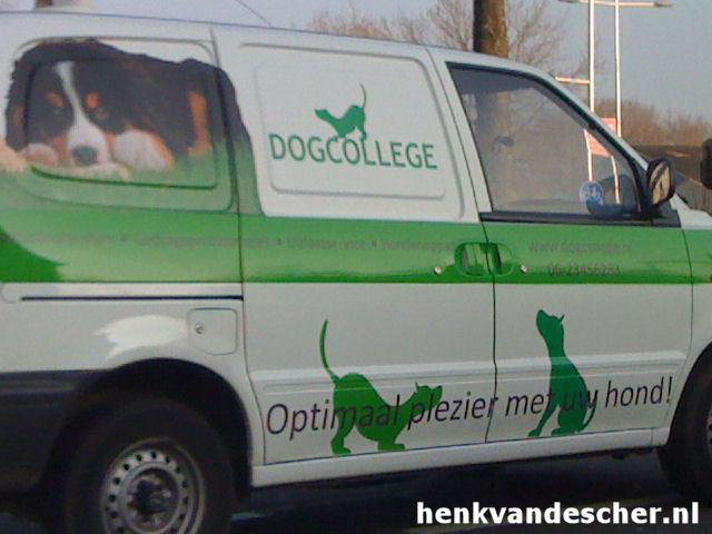Dogcollege :: Optimaal plezier met uw hond!