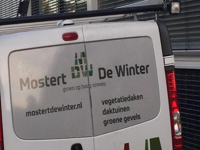 Mostert de Winter :: Groen op Hoog NIveau