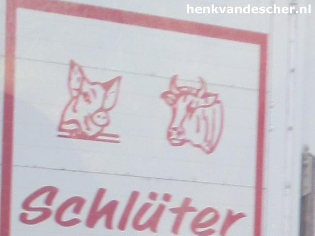 Schluter :: Blije Varkens