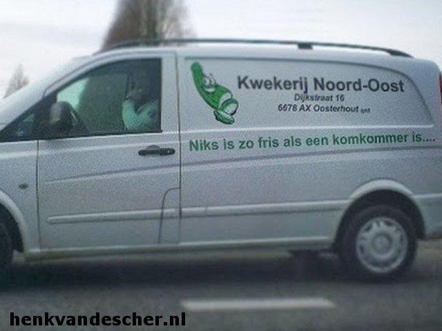 Kwekerij Noord Oost :: Niks is zo fris als een komkommer is...