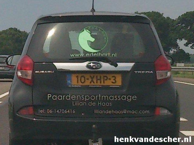 Lilian de Haas :: Paardensportmassage Lilian de Haas
