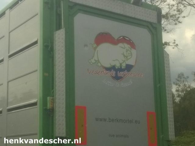 Van Berkmortel :: Blije Varkens