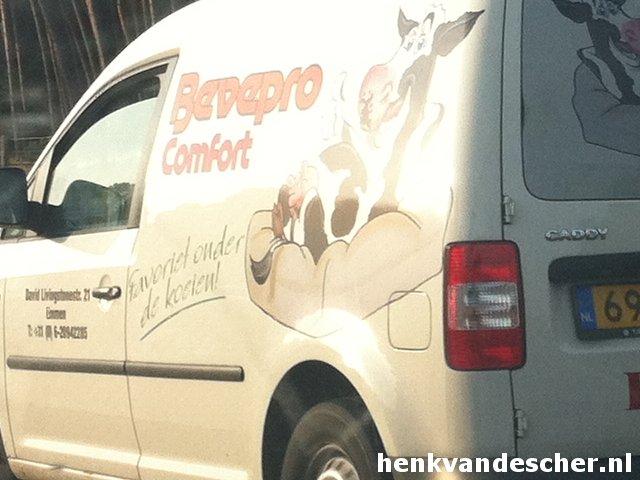 Bevepro :: Favoriet Onder de Koeien