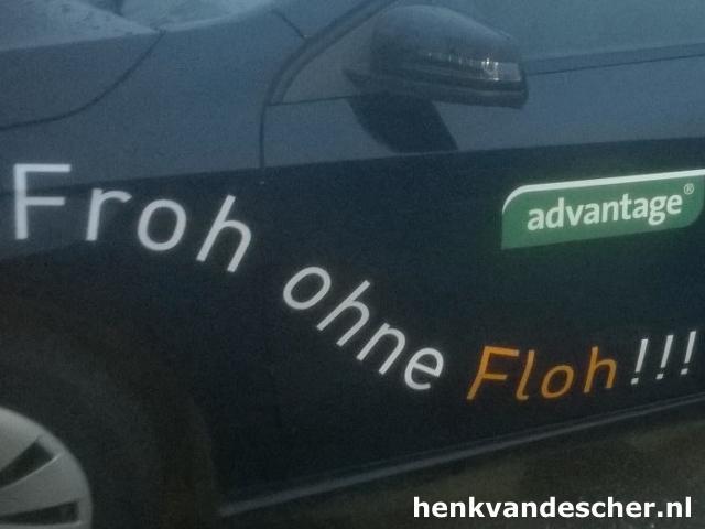 Advantage :: Fron ohne Floh