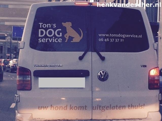 Tons Dog Service :: Uw hond komt uitgelaten thuis