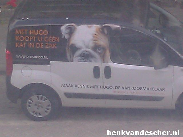 Hugo :: Bij ons koopt u geen kat in de zak