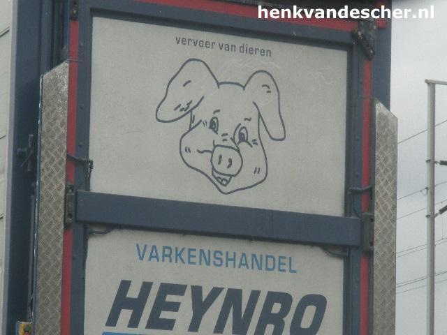 Heynro :: Blije Varkens