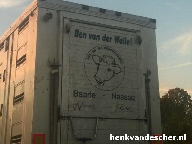 Blije Varkens - Schapen :: Ben van der Walle