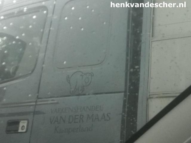 Van der Maas :: blije varkens