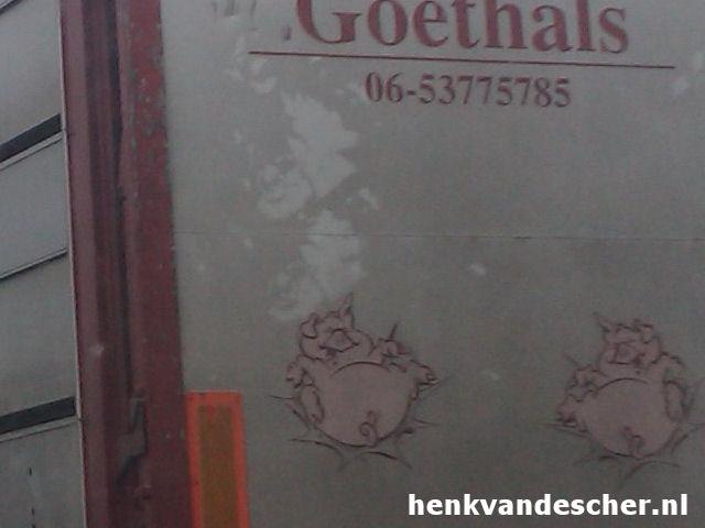 Goethals :: Blije Varkens