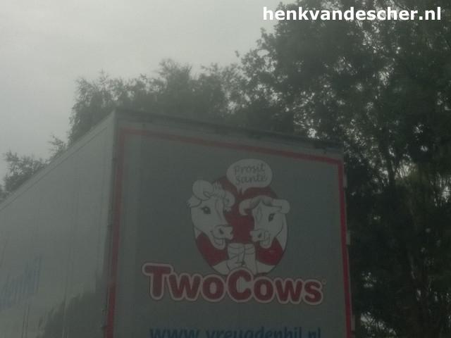 Two Cows :: Blije koeien