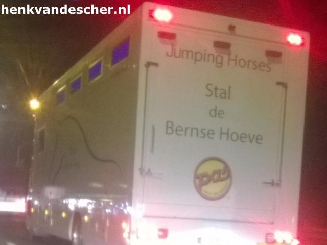 Jumping Horses :: Jumping Horses Stal de Bernse Hoeve