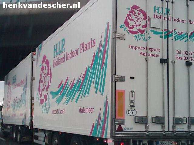 Holland Indoor Plants :: H.I.P.