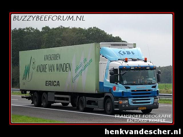 Andre van Winden :: Thuis in Kamerplanten