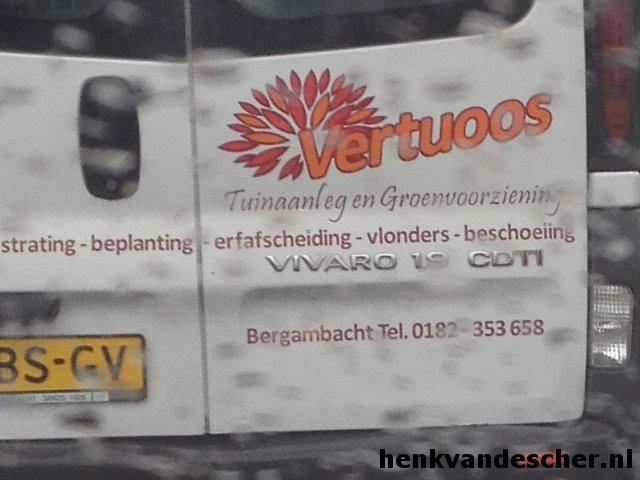 Vertuoos :: Vertuoos