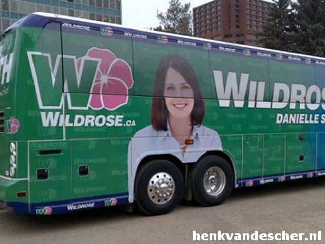 Wildrose :: Tietenbus