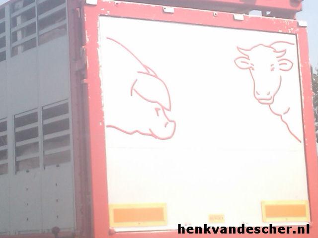 Onbekend :: Blije Varkens