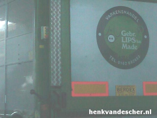 Gebr. Lips :: Blije varkens