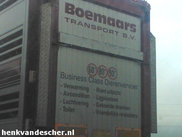 Boemaars :: Businessclass dierenvervoer