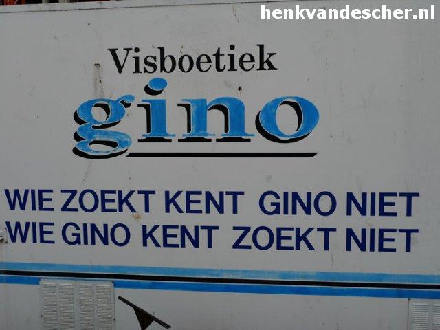 Gino :: Wie zoekt kent Gino niet